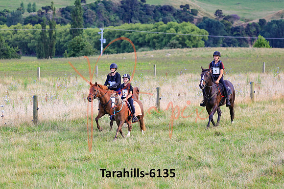 Tarahills-6135