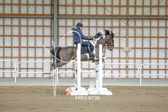 FPD2-0736