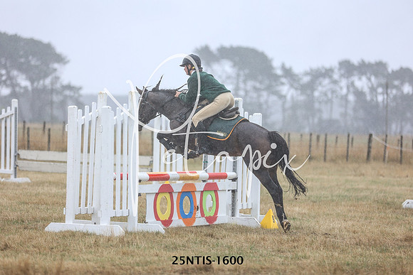 25NTIS-1600