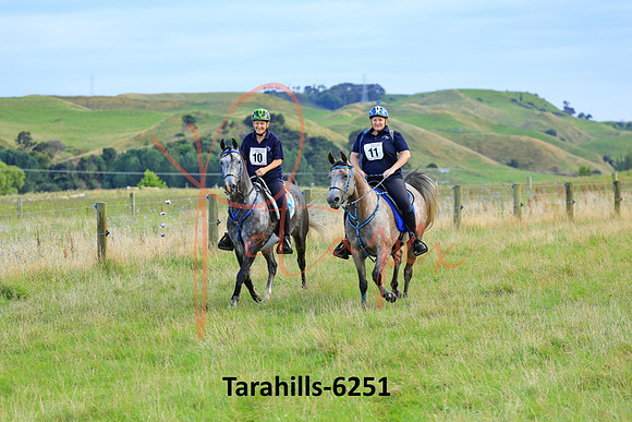 Tarahills-6251