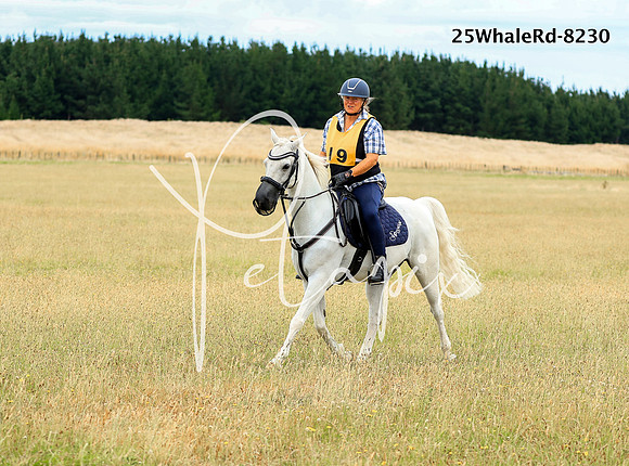 25WhaleRd-8230