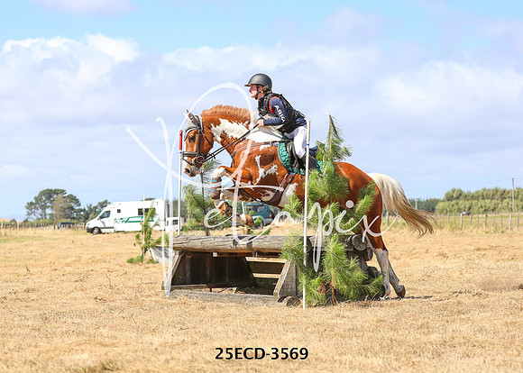 25ECD-3569