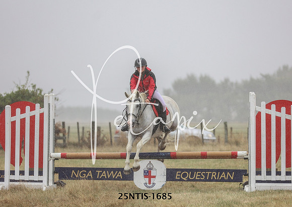 25NTIS-1685