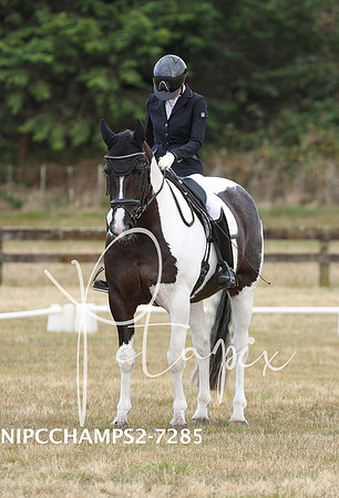 NIPCCHAMPS2-7285