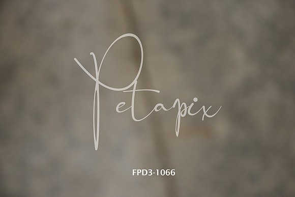 FPD3-1066