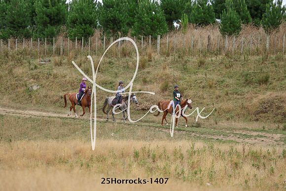 25Horrocks-1407