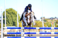 23FAPIFEB-0160