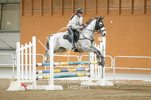 FPD2-0773