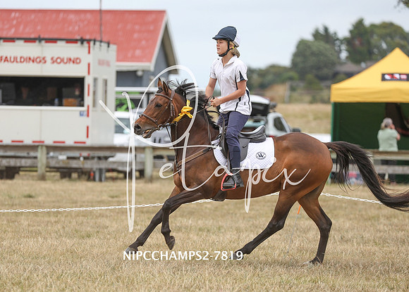 NIPCCHAMPS2-7819