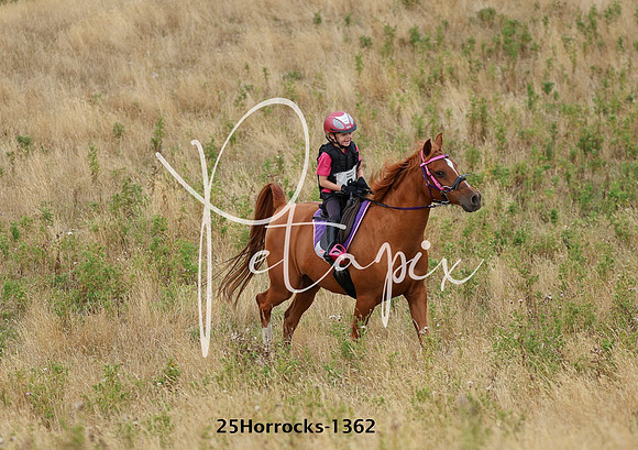 25Horrocks-1362