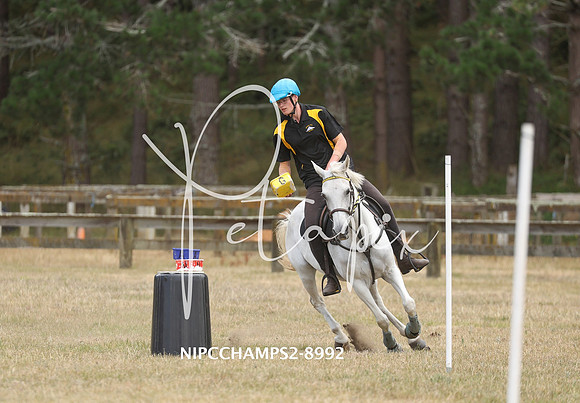 NIPCCHAMPS2-8992