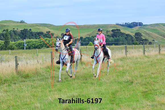 Tarahills-6197