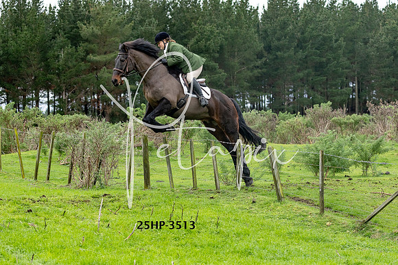 25HP-3513
