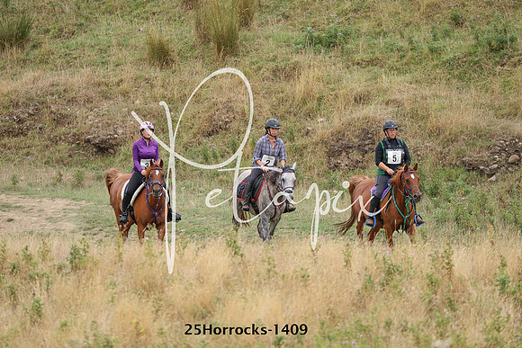 25Horrocks-1409