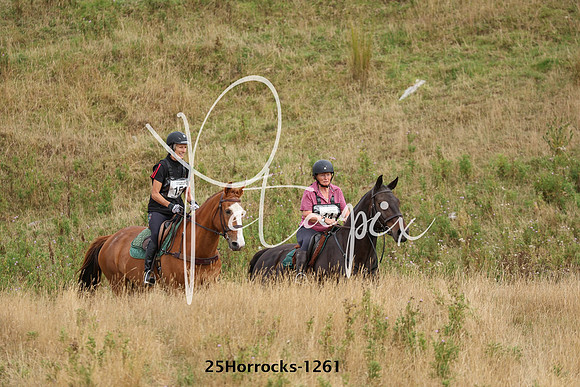 25Horrocks-1261