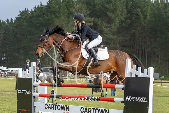 24Cartown2-8221