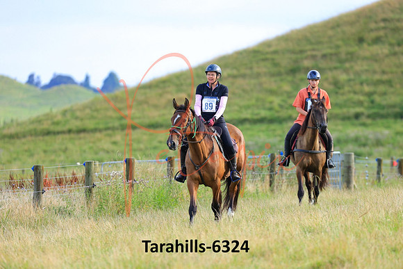 Tarahills-6324