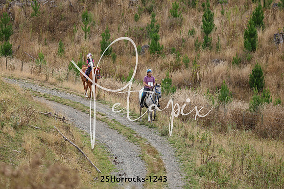 25Horrocks-1243