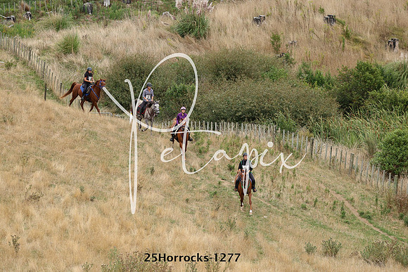 25Horrocks-1277