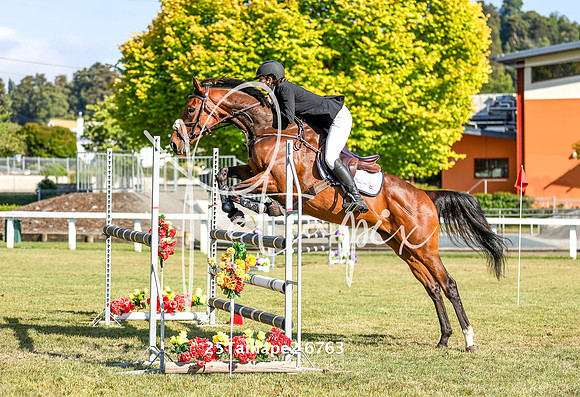 25Taihape2-6763