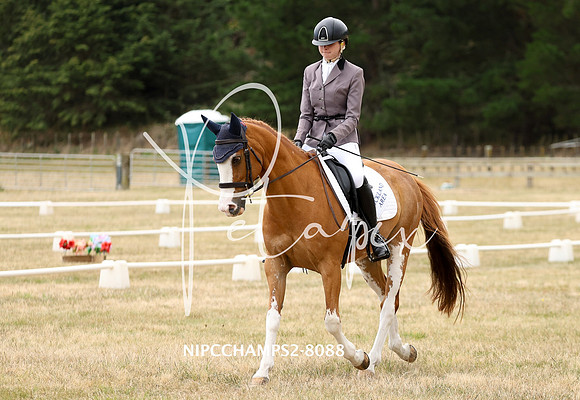 NIPCCHAMPS2-8088