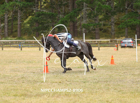 NIPCCHAMPS2-8906