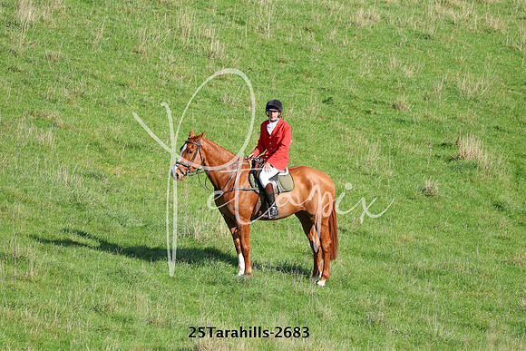 25Tarahills-2683