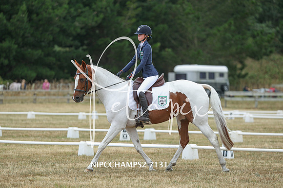 NIPCCHAMPS2-7131