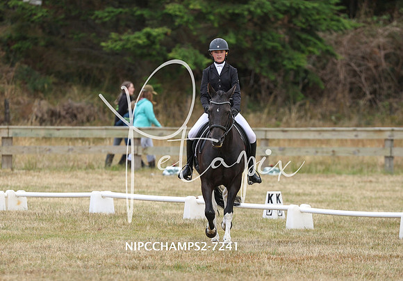 NIPCCHAMPS2-7241