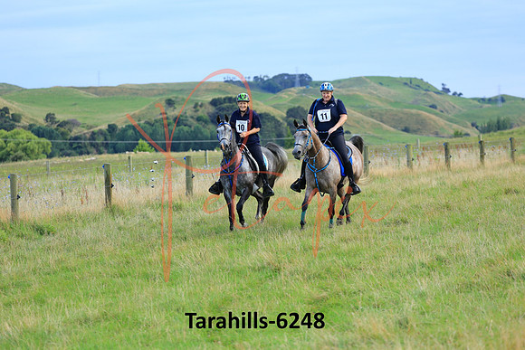 Tarahills-6248