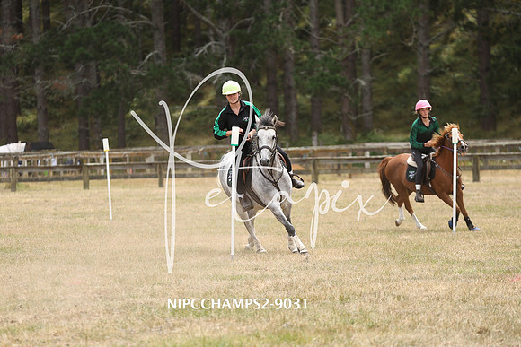 NIPCCHAMPS2-9031