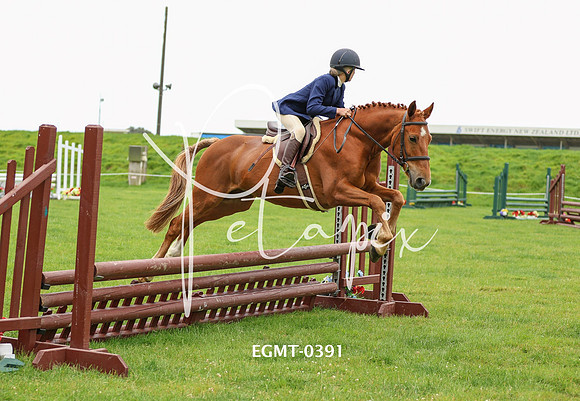 EGMT-0391