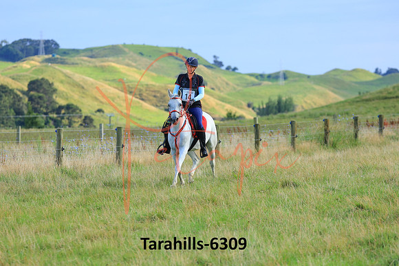 Tarahills-6309