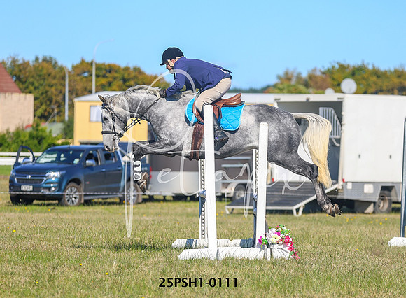 25PSH1-0111