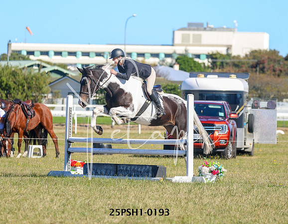 25PSH1-0193