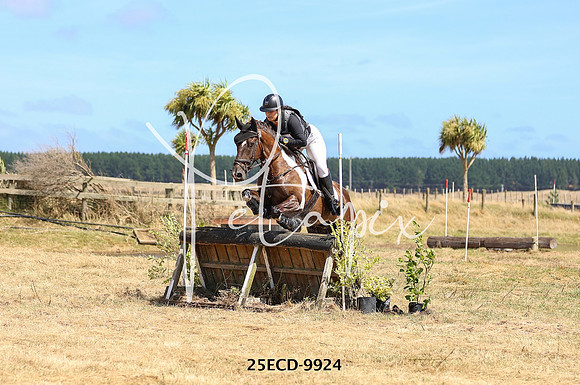 25ECD-9924