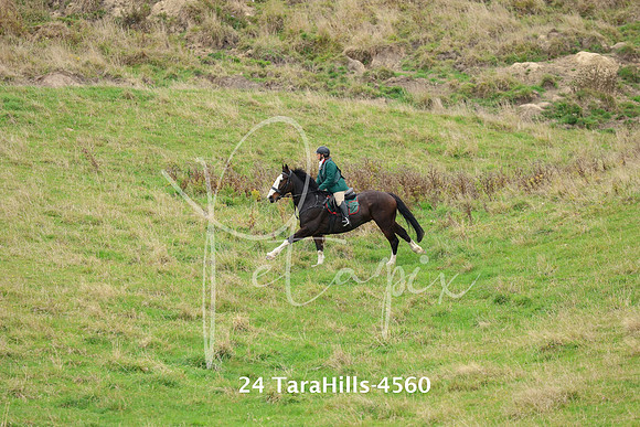 24 TaraHills-4560