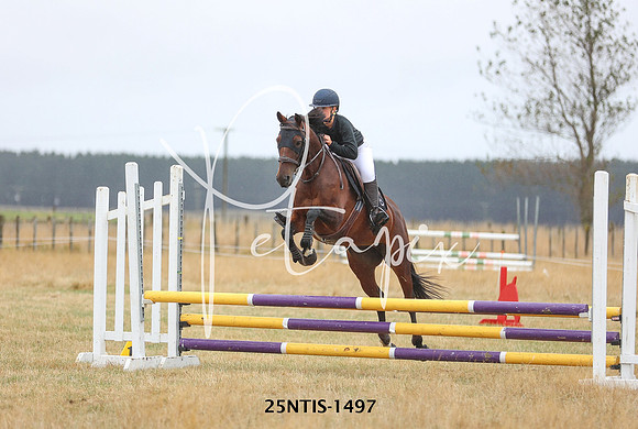 25NTIS-1497