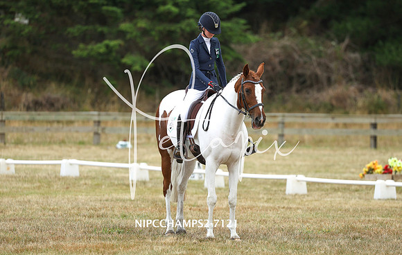 NIPCCHAMPS2-7121