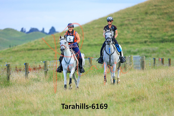 Tarahills-6169
