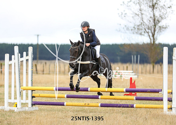 25NTIS-1395