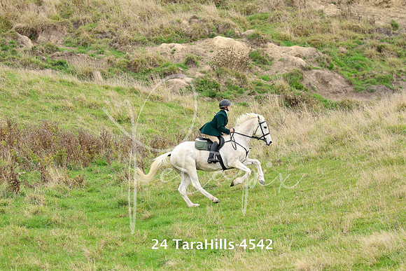 24 TaraHills-4542