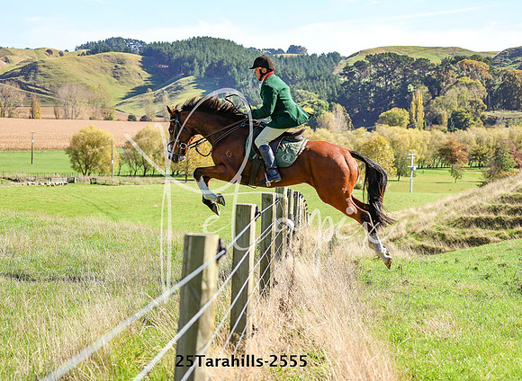 25Tarahills-2555