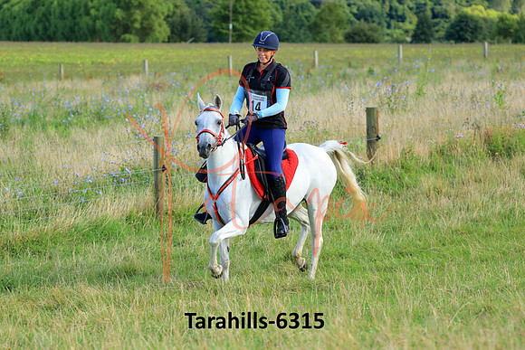 Tarahills-6315