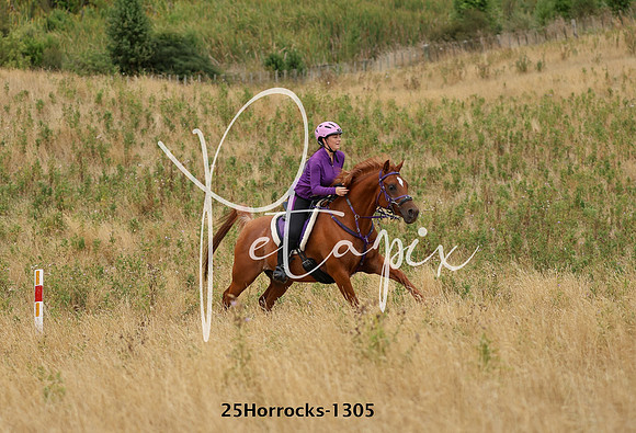25Horrocks-1305
