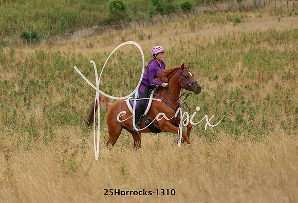 25Horrocks-1310