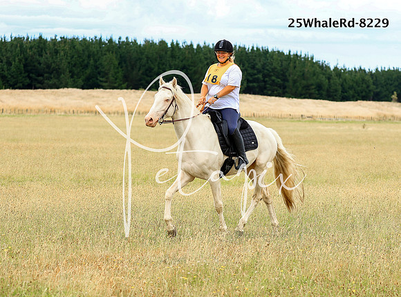 25WhaleRd-8229