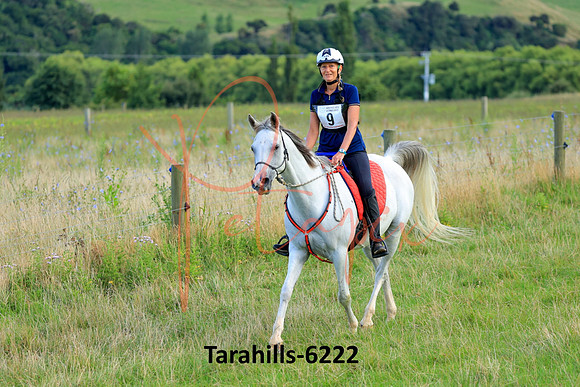 Tarahills-6222