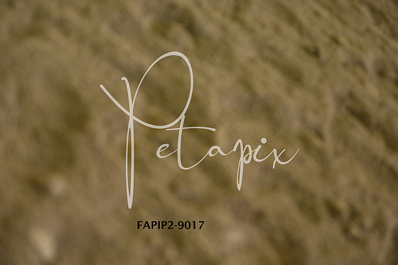 FAPIP2-9017