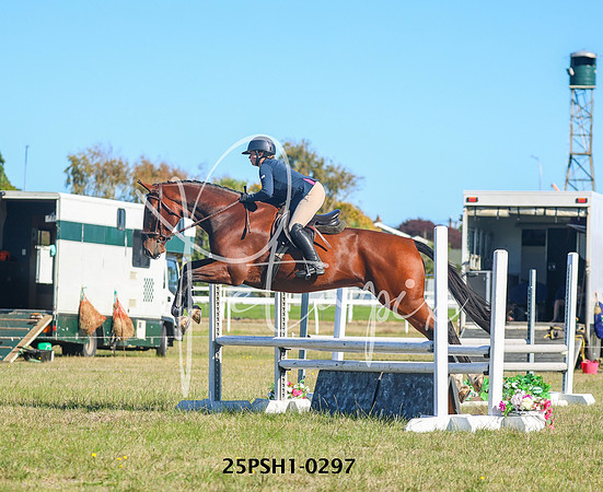 25PSH1-0297